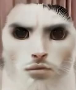 avator