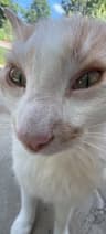 Avatar of Aubrey