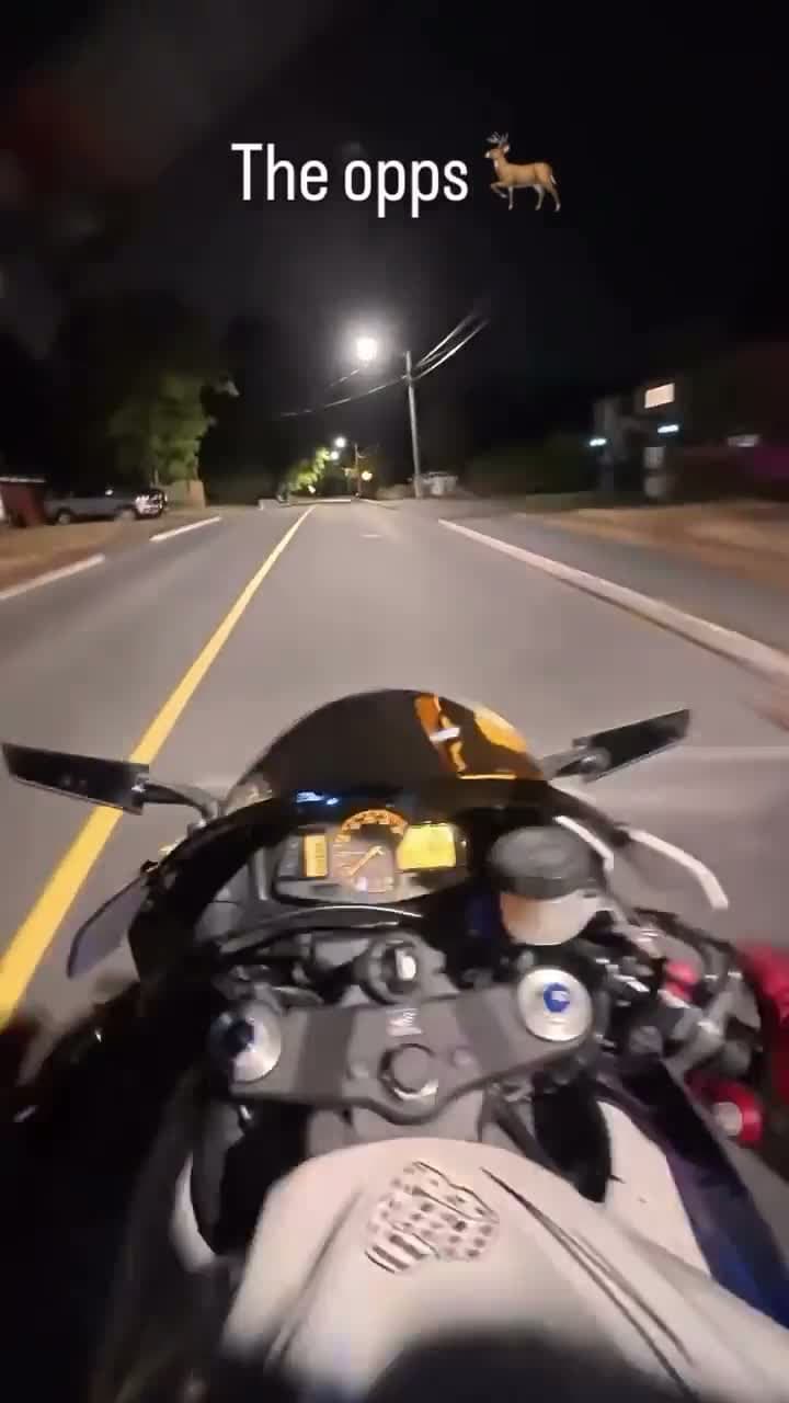 cover for Close call: Biker narrowly misses hitting a deer! 🦌🏍️ #CloseCall #BikerLife #WildlifeEncounter