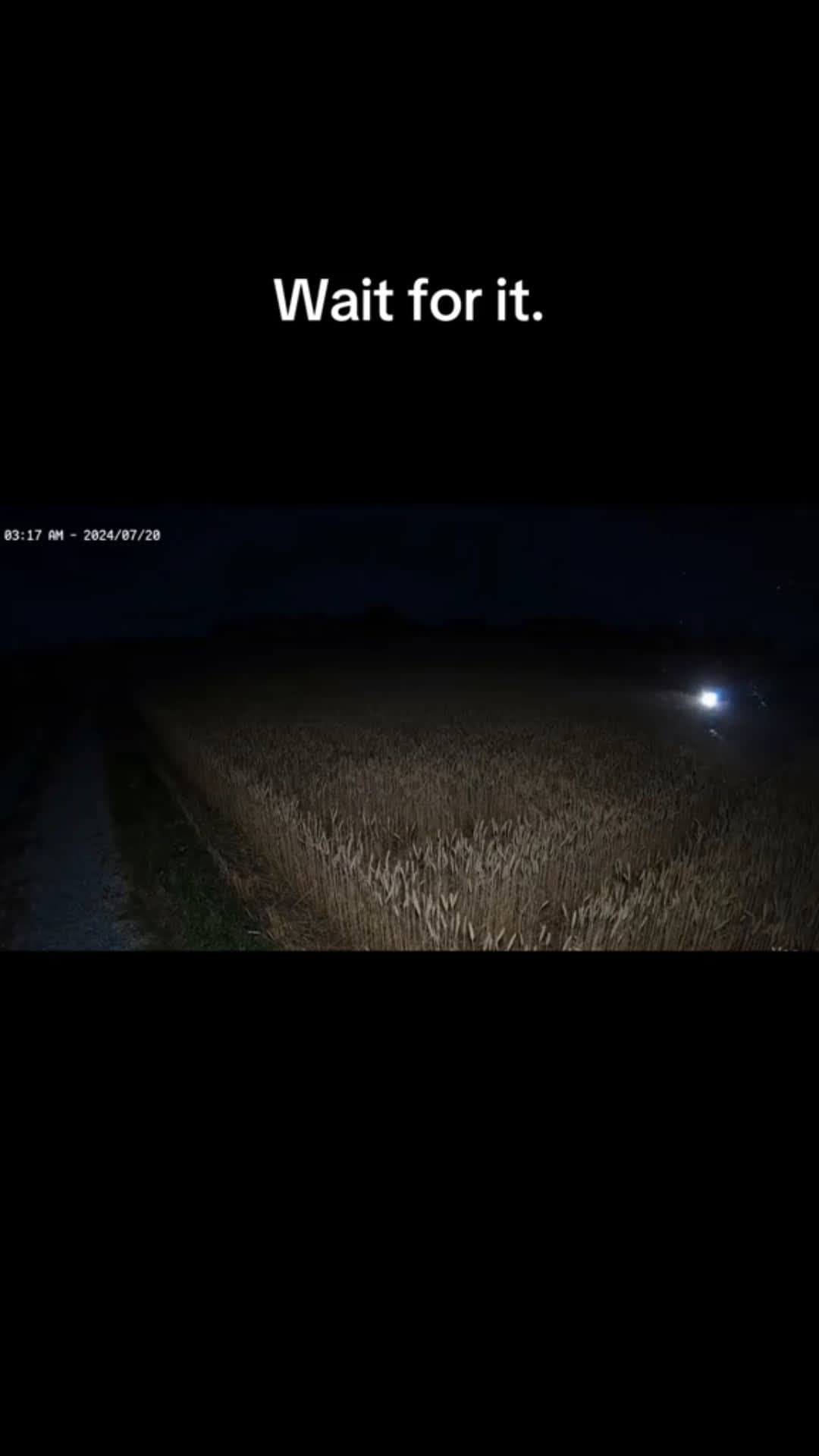 cover for Security camera caught this out by the wheat field last night. What is going on?!? #ufo #viralvideo   #caughtoncamera 