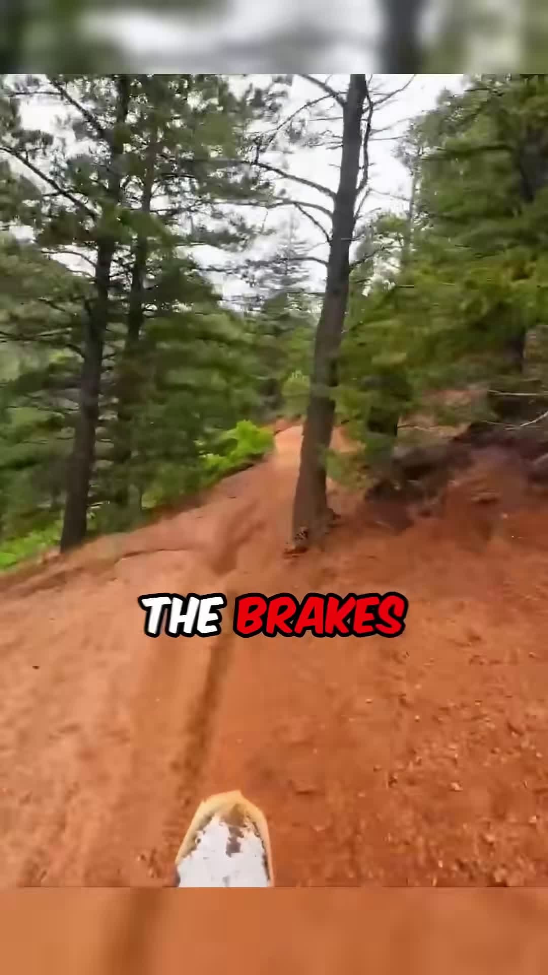 cover for Biker Finds Stranded Man After Night on the Mountain Following ATV Crash Credit Meekerextreme