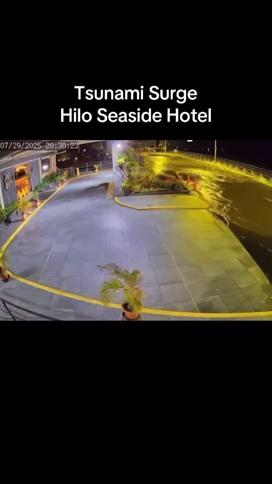 cover for Tsunami surge crashes in front of the Hilo Seaside Hotel — stunning coastal footage 🌊 #Hawaii #Tsunami #Hilo #Coastline
