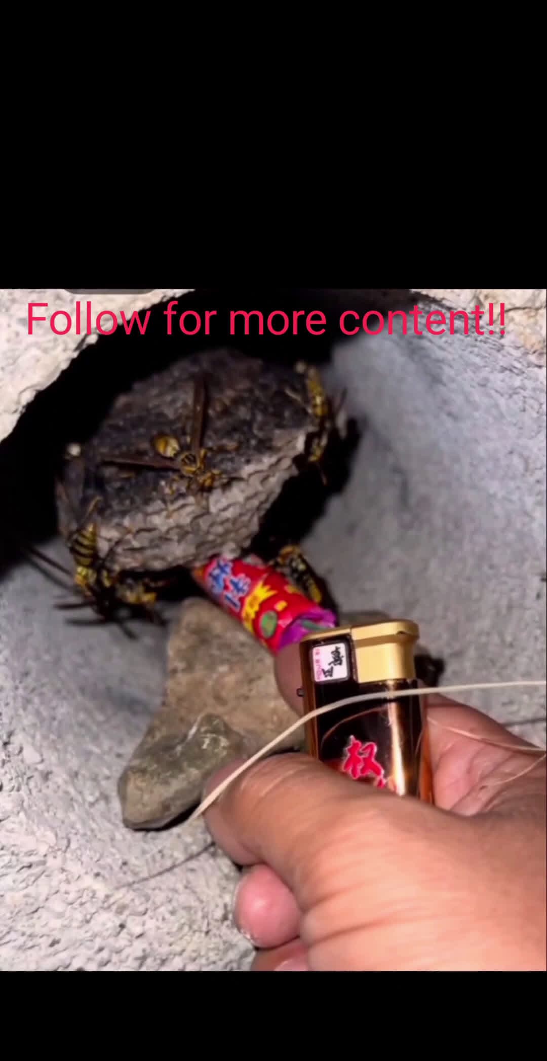 cover for #FirstVideoChallenge Viewers discretion! #fyp #foryou #explore #viral #caughtoncamera 
