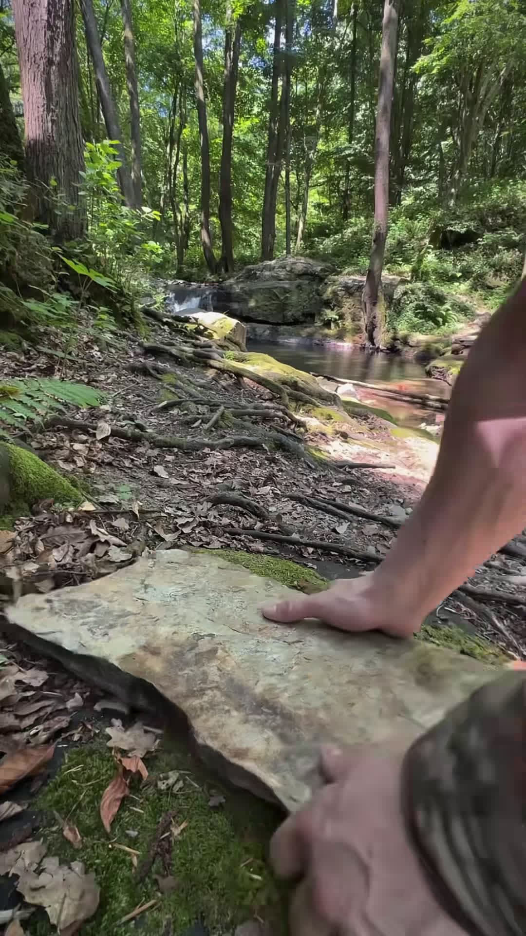 cover for Chicken grilled in mud in the wild 🐓🪵🔥💦 #cookingasmr #outdoorcooking ...