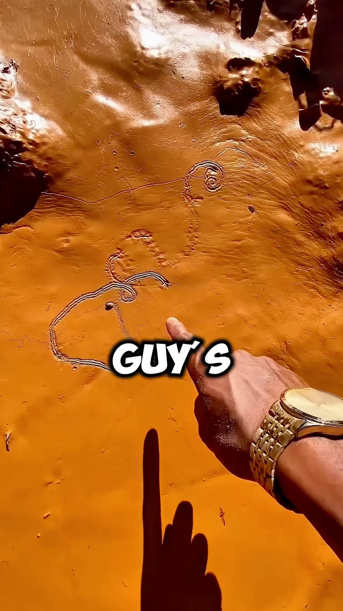 cover for Unbelievable Find Hold In The Soil