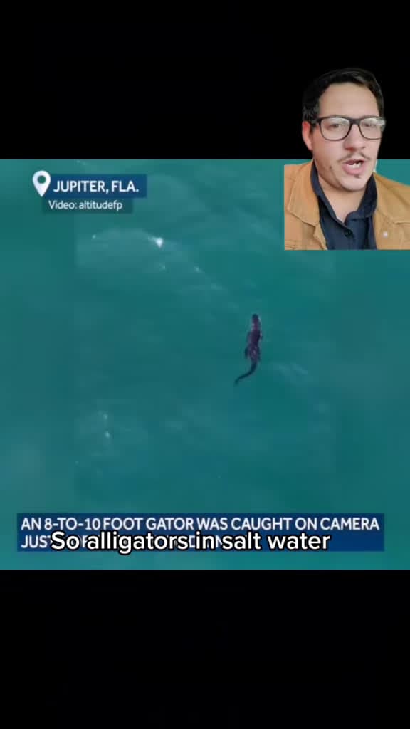 cover for Alligators are not built for saltwater — here is what happens when they hit the sea 🌊🐊 #alligator #saltwater #nature #education