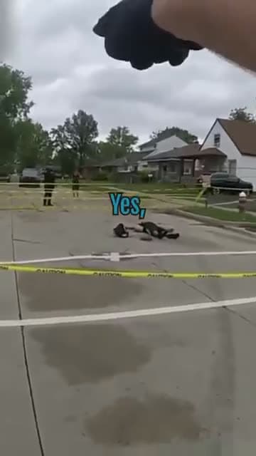 cover for Police Officer Saves a Kid From a Downed