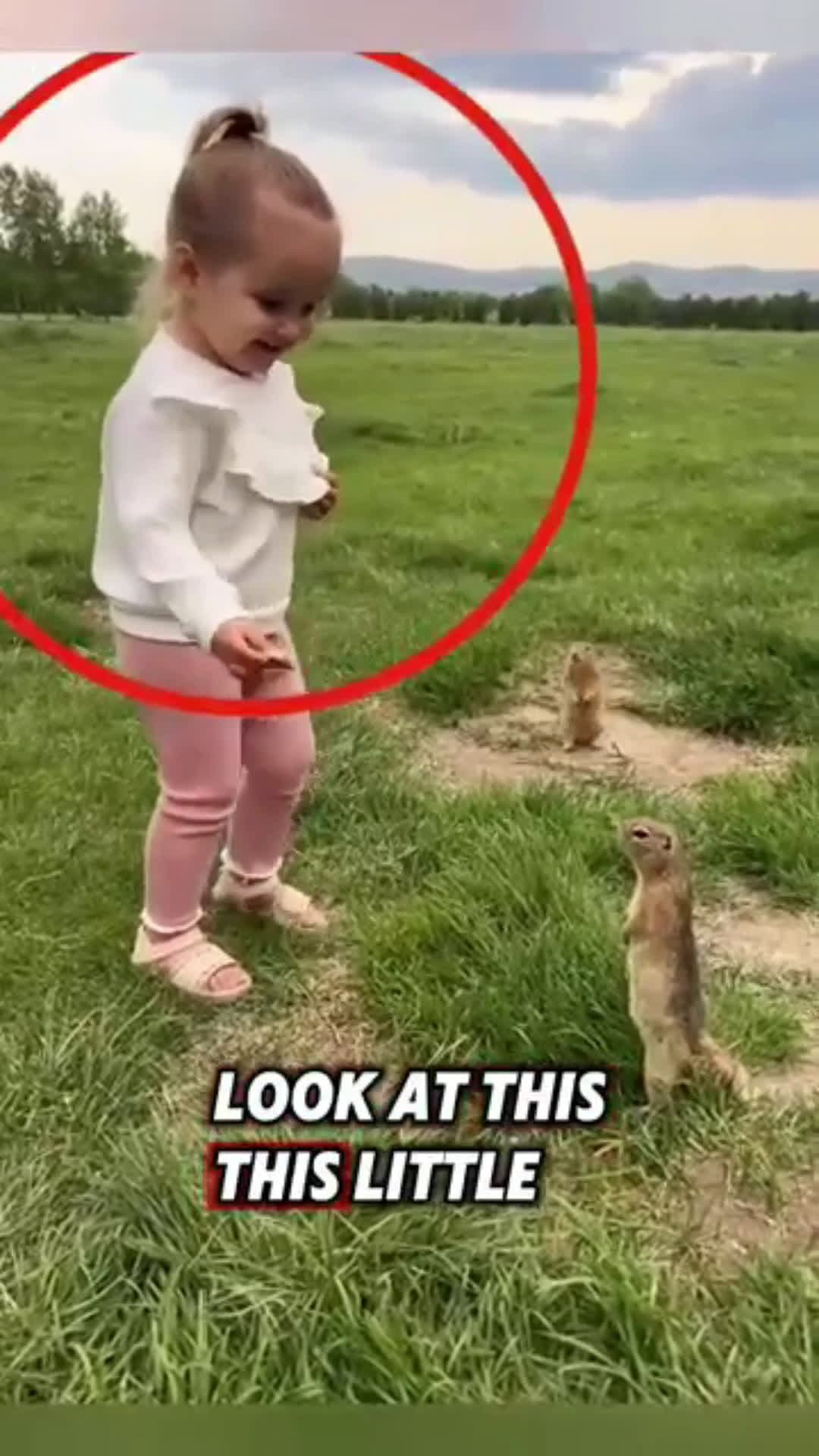 cover for These squirrels were lucky to meet a kind little girl who gave them food ️
