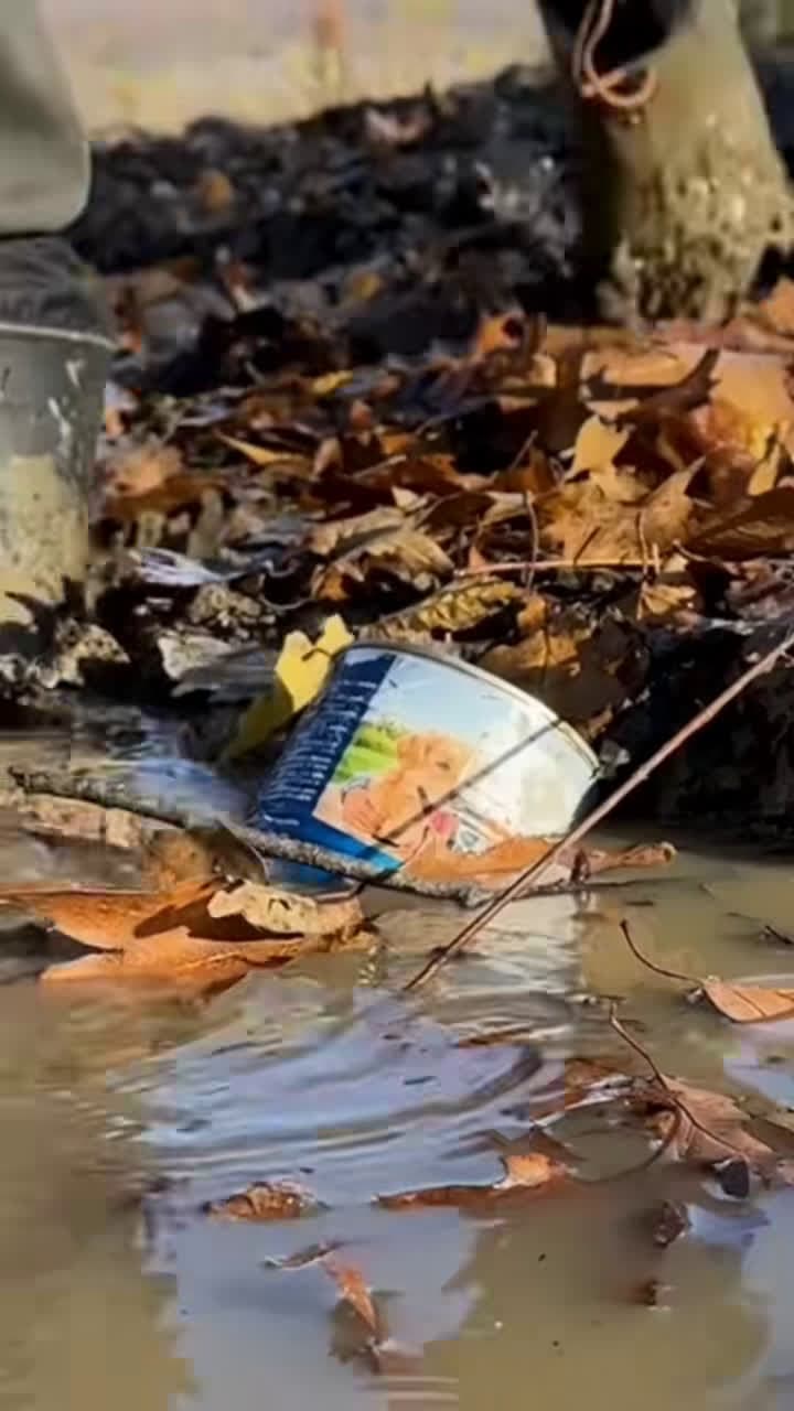 cover for Survival Skills :  #survivaltips #camping #survivalskills #survival #foresta #sergiooutdoors #bushcraftlife #outdoors #survivalcamping #fyp #survivalshow #lifehacks