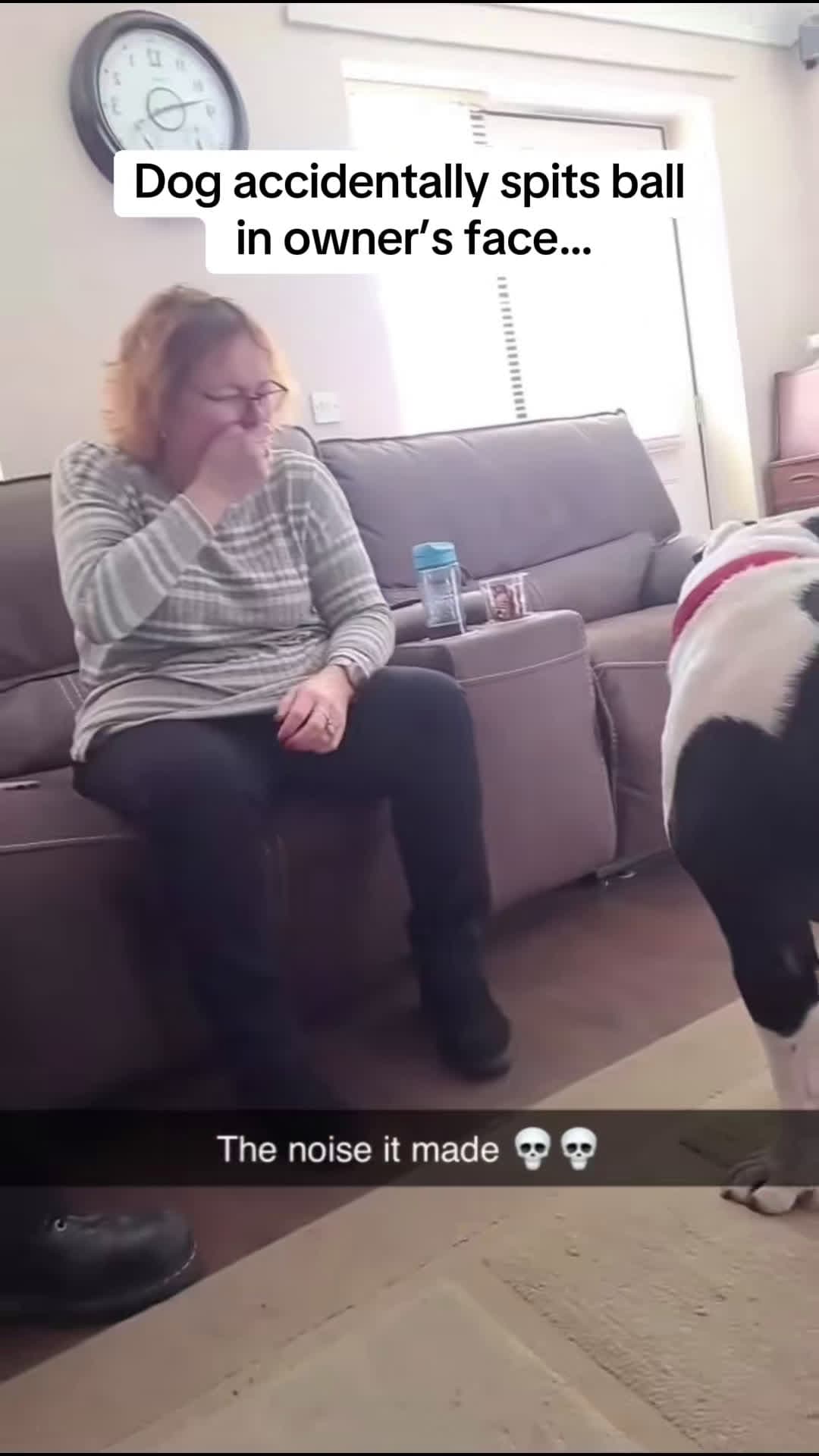 cover for Dogs like to play hide and seek.#pet #dog #dogs #dogsoftiktok #petsoftiktok #funnymoments #funny #animals #dogtok #funnyvideos #funnydogs