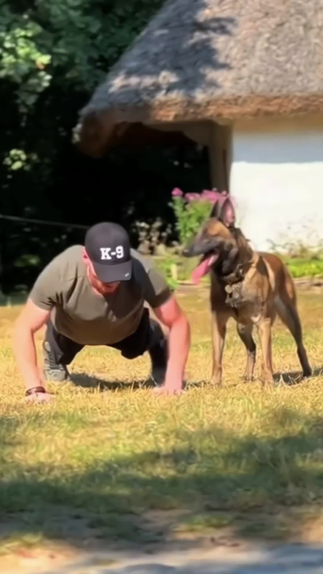 cover for Please support follow me 🥺 #k9training #dog #StarsEverywhere #doglife #dogstraining  #k9 #doglover
