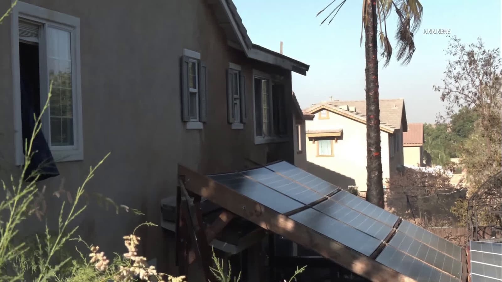 cover for Numerous Dogs Injured in Palmdale House Fire
