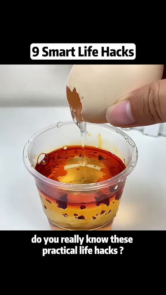 cover for lifehacks lifetips LearnOnTikTok life hacks tips fyp foryou 21195 #shortvideos
