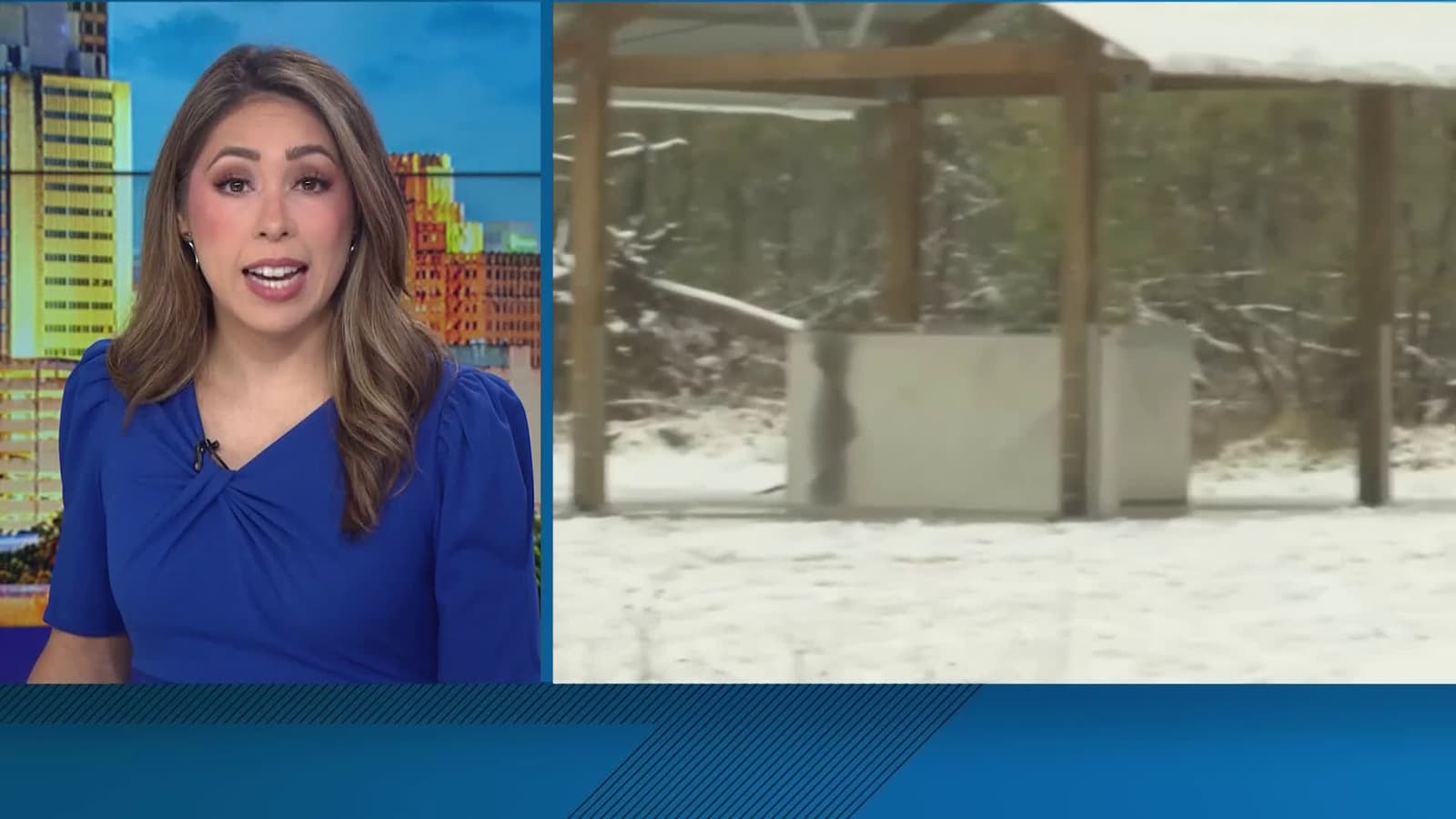 cover for Caught on camera: Kangaroo leaping through snow!