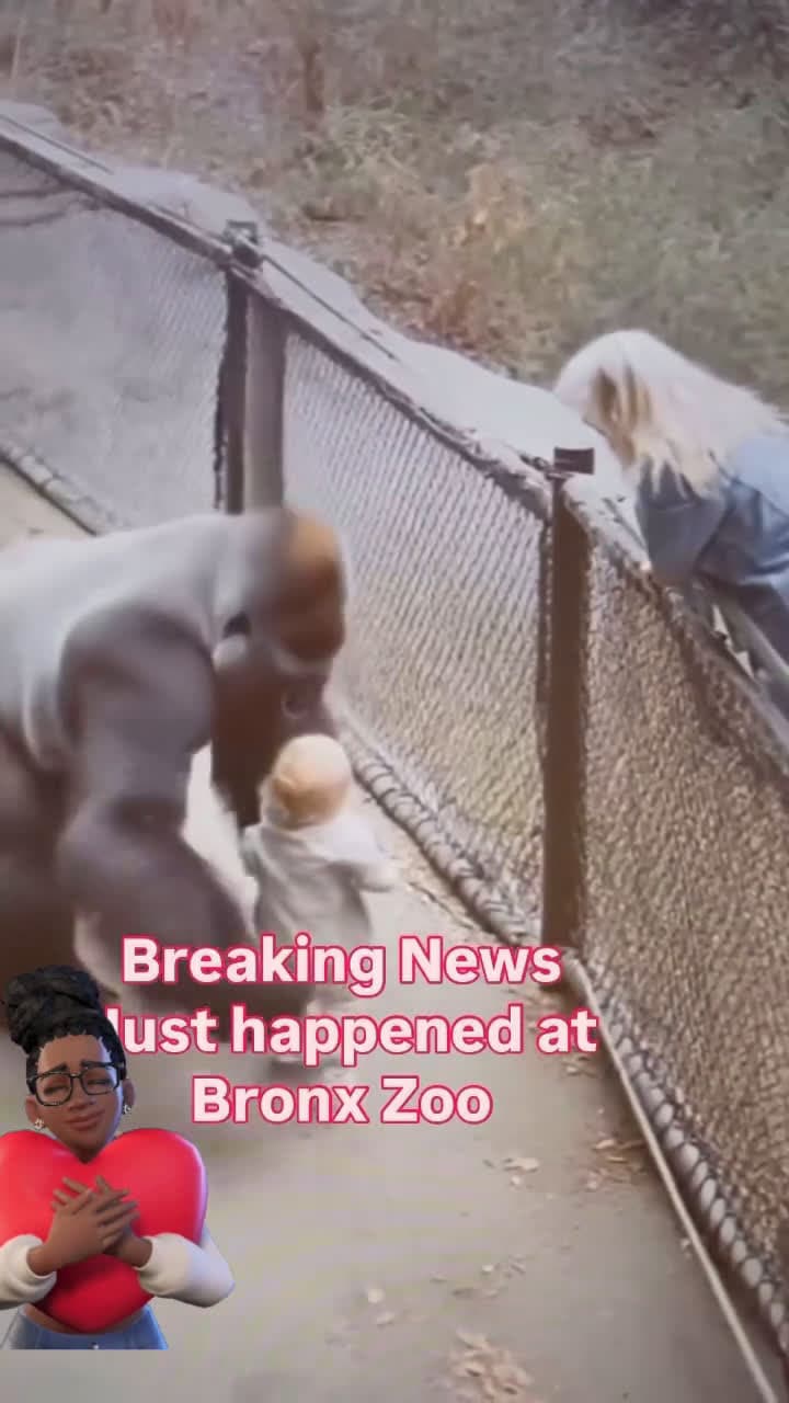 cover for This just happened at the zoo