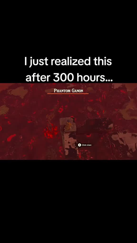 cover for 300 hours in and I JUST noticed this! 🤯 #TearsOfTheKingdom #LegendOfZelda #Gaming