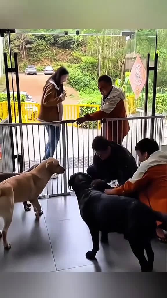 cover for Animals have their own way of loving. ❤️ #pet #cat #dog #cute #animals #foryou #typ #scoopz  #viral 