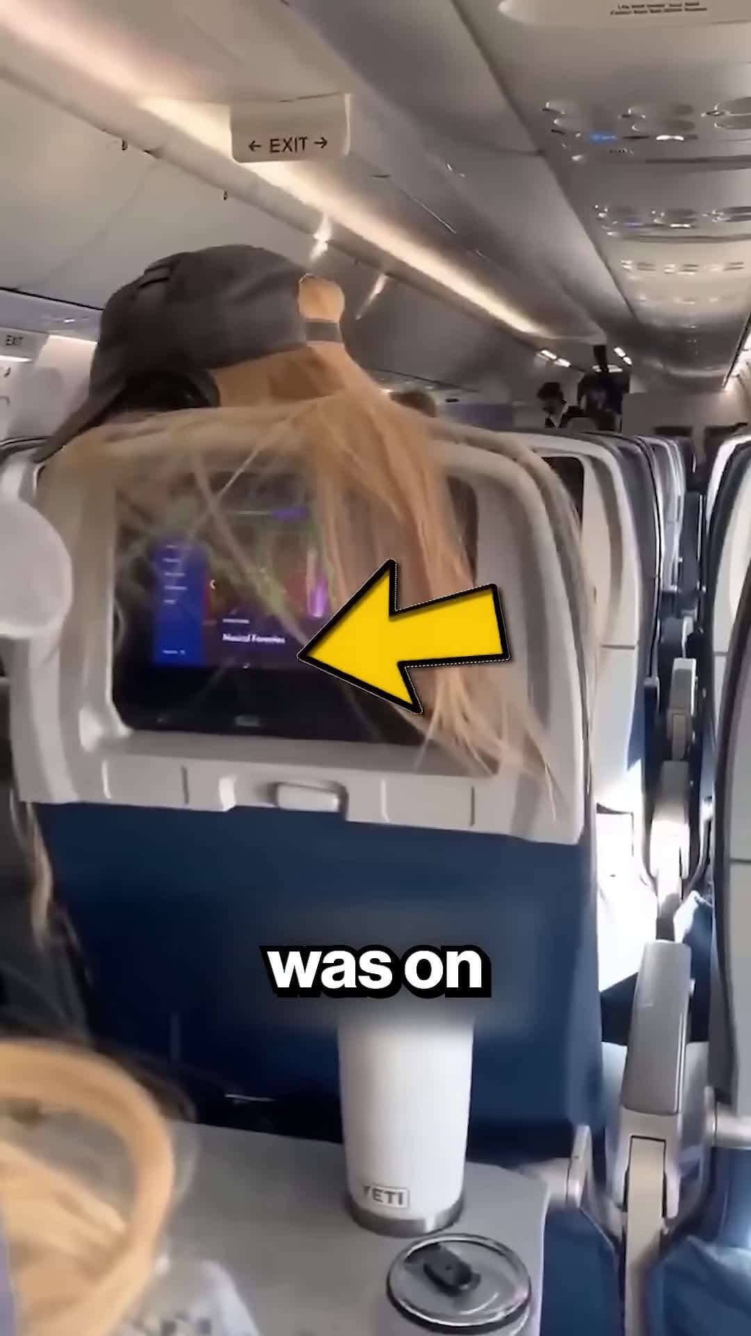 cover for She Was Disrespectful on That Plane