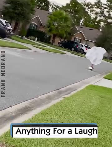 cover for Anything For a Laugh