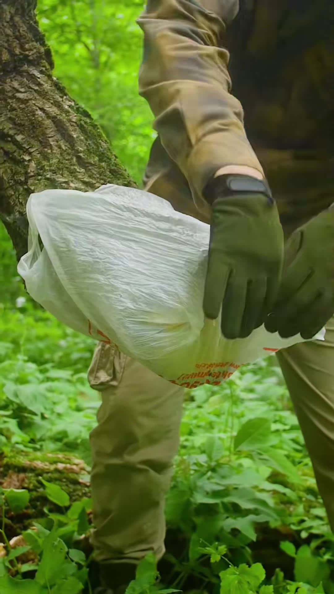 cover for Bushcraft skills outdoors #camping #outdoors #survival #adventure #asmr #bushcraft #lifehack #building #skills