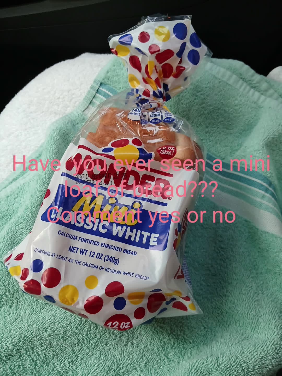 cover for Bread  #miniloafrofbread#wonder