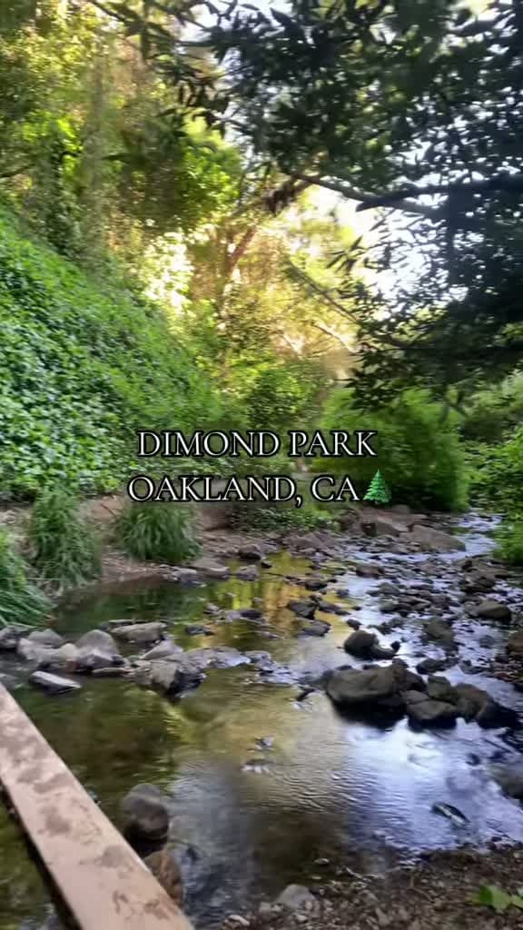cover for Nothing beats an epic hike and adventure in the Bay Area! 🌲✨ #NatureLovers #ExploreMore #BayArea