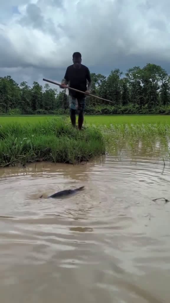 cover for Fishing fails that will make you laugh out loud! 🎣😂 #FishingFails #EpicFails #FunnyFishing