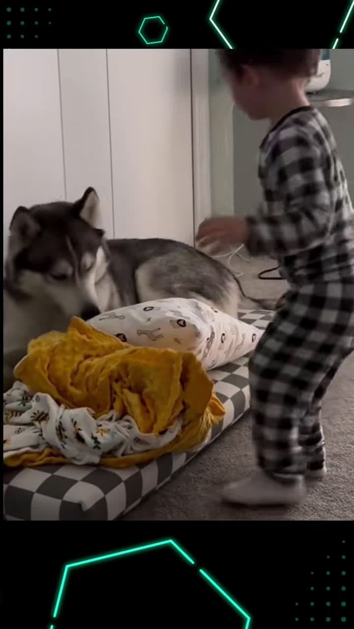 cover for #CaughtOnCamera more than a love #funny #dogandbaby #dog #dogsoftiktok #pets