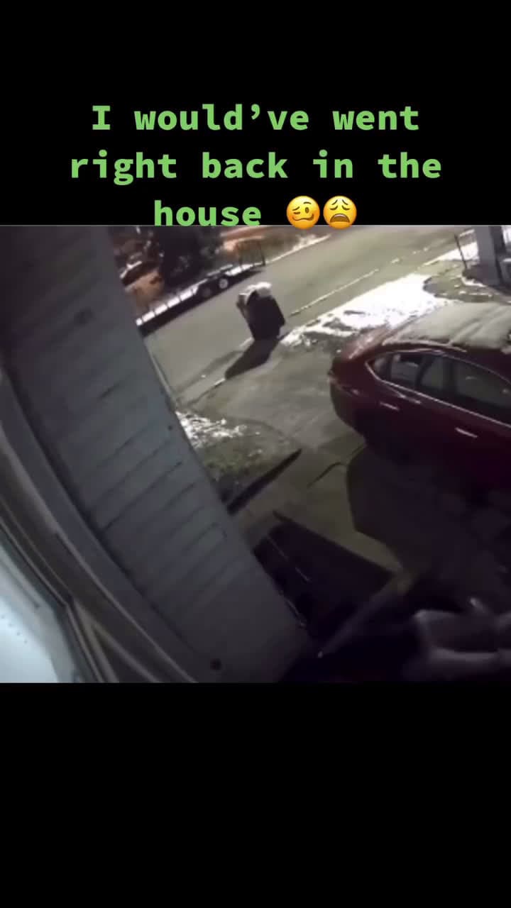 cover for #TooFunnyToScroll #funnyvideos #funny #funnymemes #memes #comedy #meme #memesdaily 