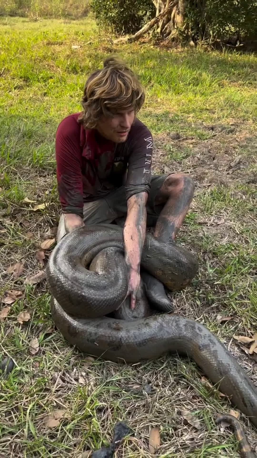 cover for Giant anaconda 😳 #nature  #wildlife #FirstVideoChallenge