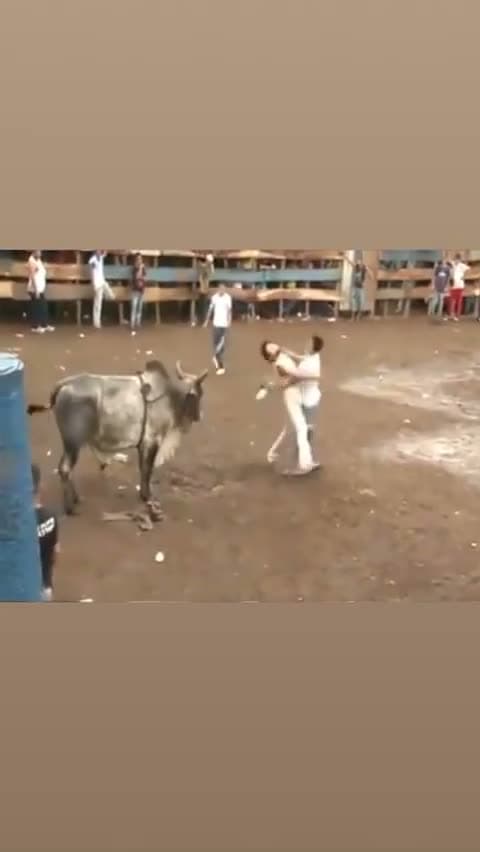 cover for Watch what happens when someone taunts a bull! 🐂🔥 #BullChallenge #AdrenalineRush #WildMoments
