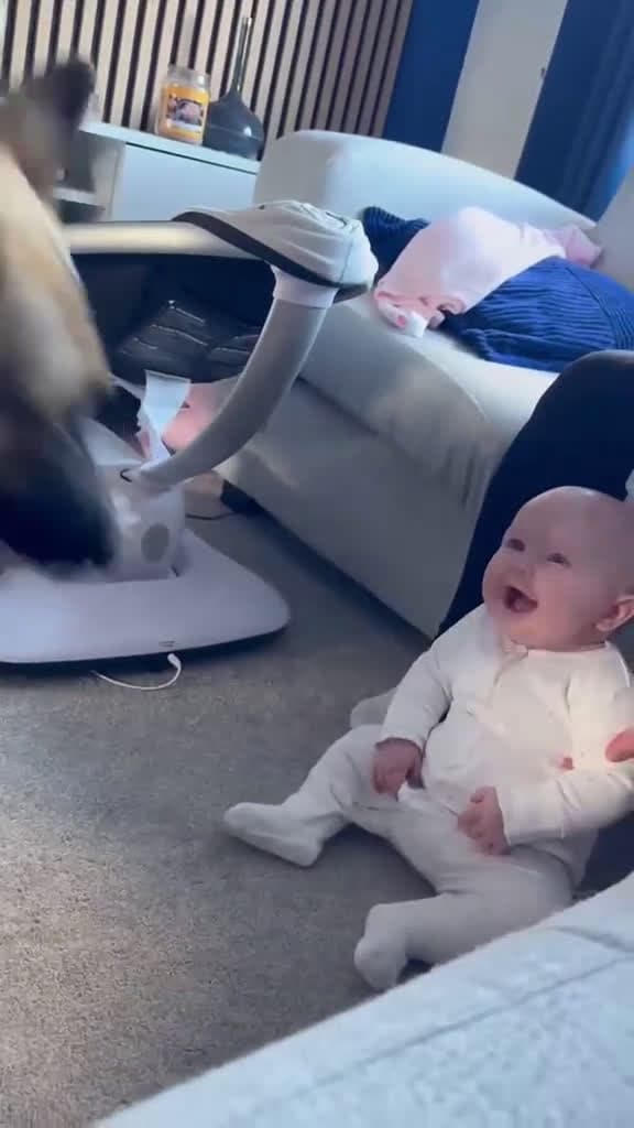 cover for Dogs and babies dog baby Love lovestory doglove bestfriend dogsoftiktok foryou usa 26539 #america