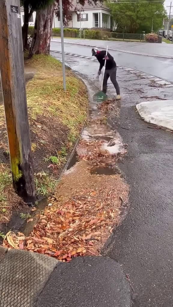 cover for Ultimate Cleaning Lawn Care ASMR So Satisfying You ll Want to Clean uncloggingdrains cutti 23146 #trend