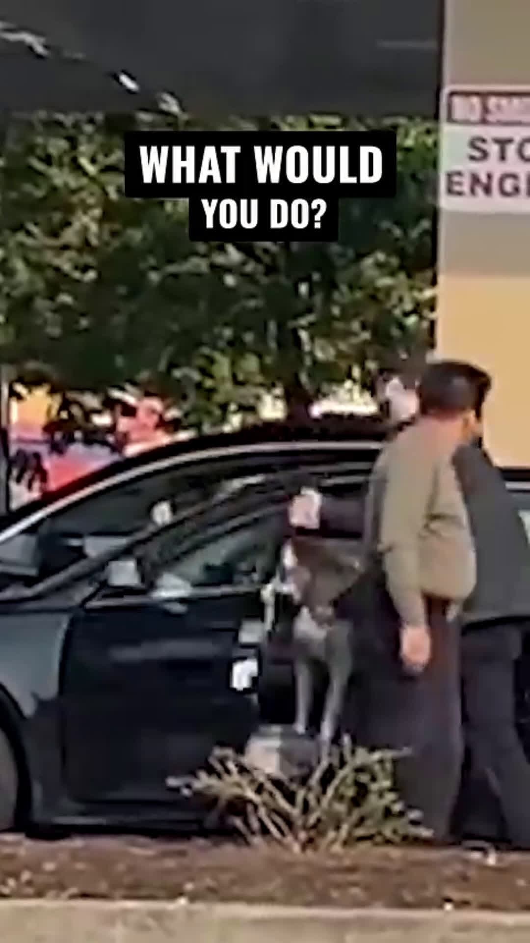 cover for What would you do in this situation? #fight 