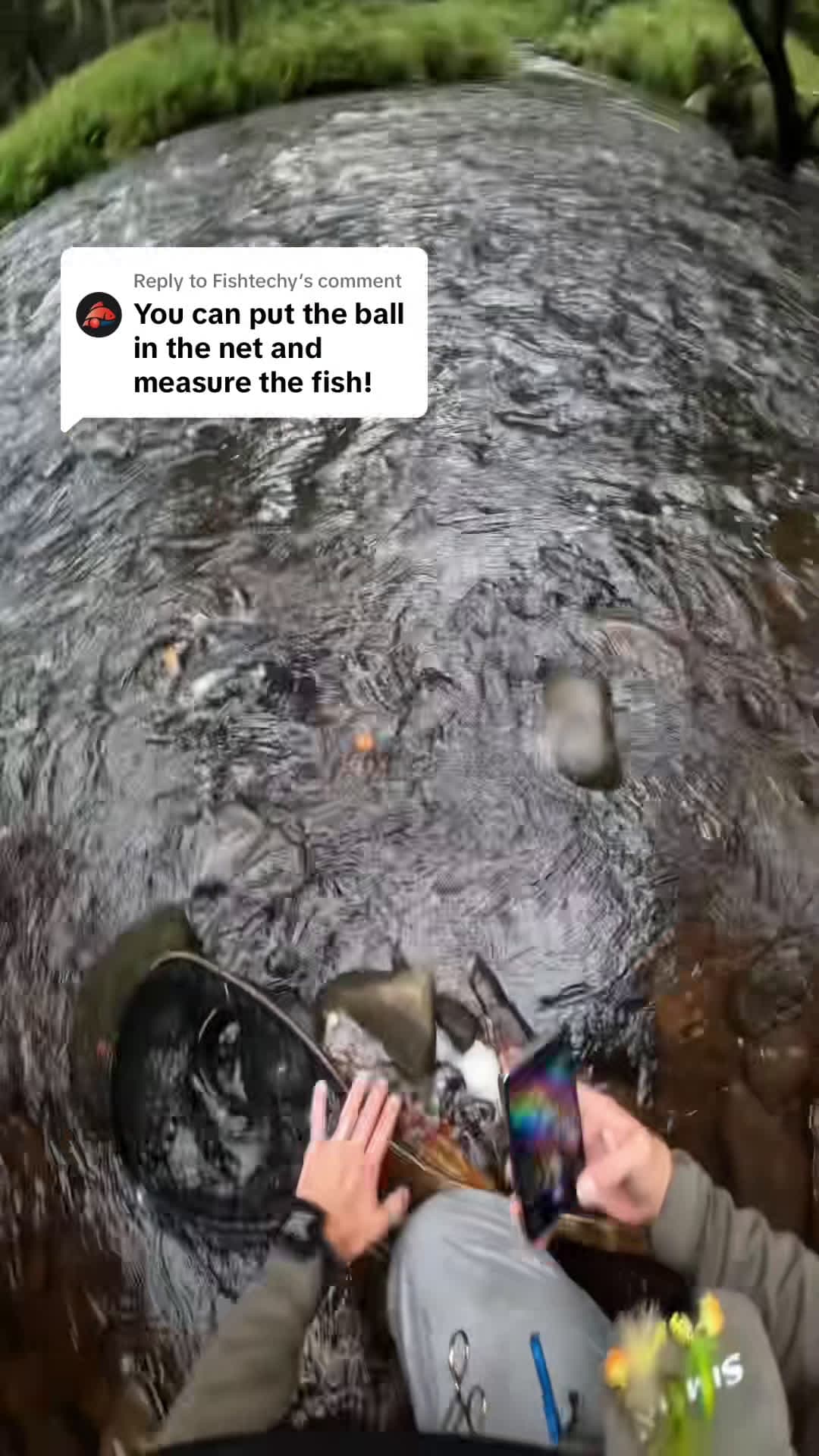 cover for Replying to Fishtechy In my personal experience it works best when the fish lays flat proofball fishtechy flyfishdelawhere brooktrout trout flyfishing