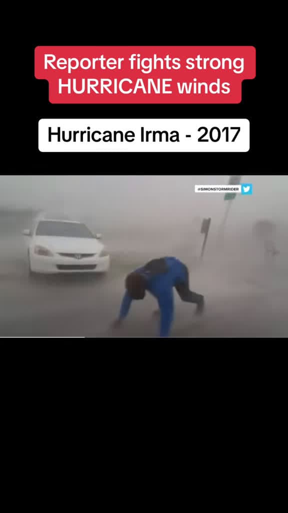 cover for Reporter braves ferocious winds during live hurricane coverage 💨 #Hurricane #SevereWeather #LiveNews #WeatherUpdate