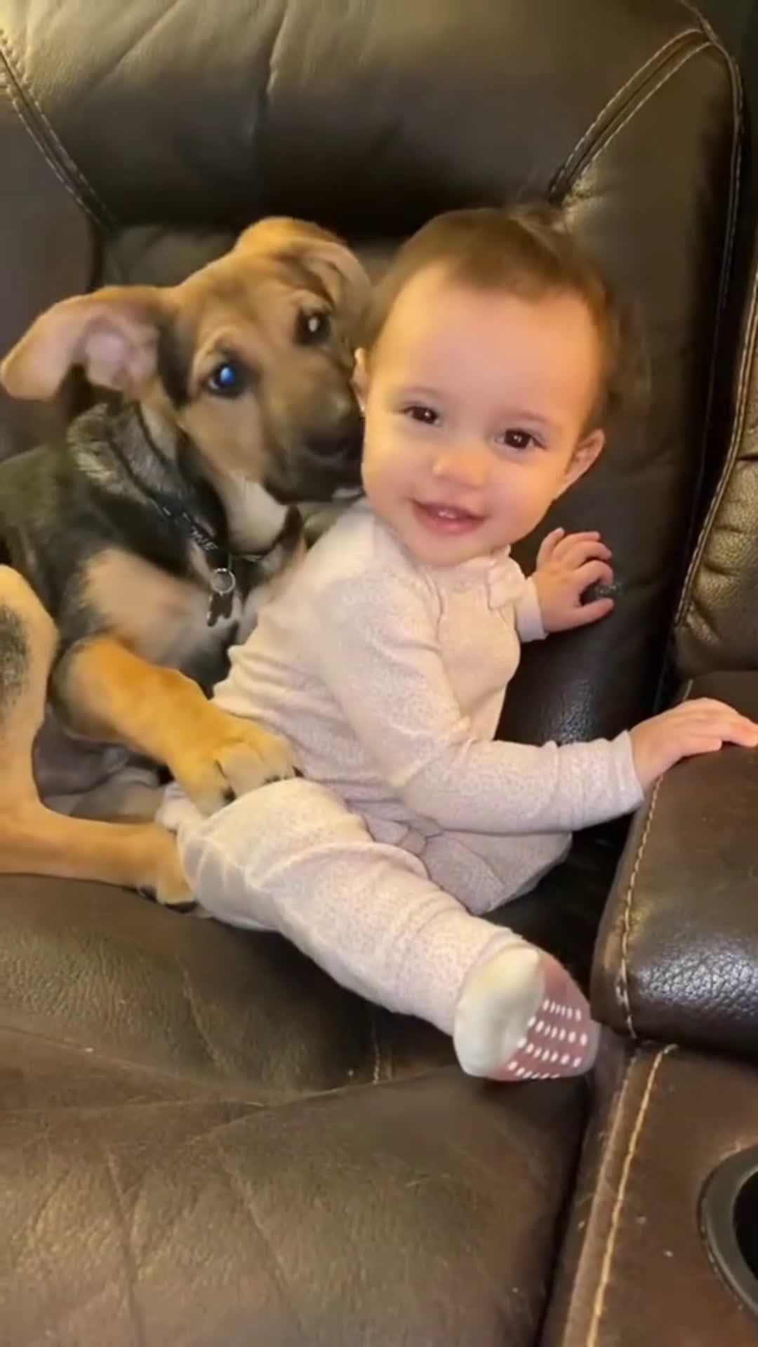 cover for #TooFunnyToScroll #funny #funnyvideos #trending #viral #viralvideo #love #lol #baby #dog #pet When dogs make babies laugh😅🐕
