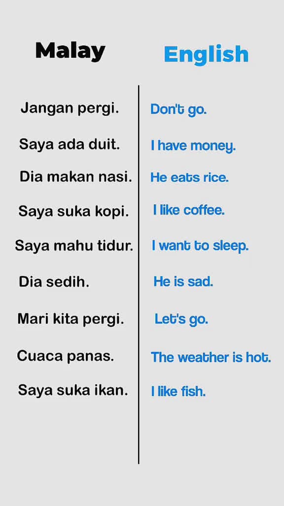cover for Ayat Penggunaan Harian Bahasa Melayu ke Bahasa Inggeris malaysianlanguage learnma 10631 #nicevideo