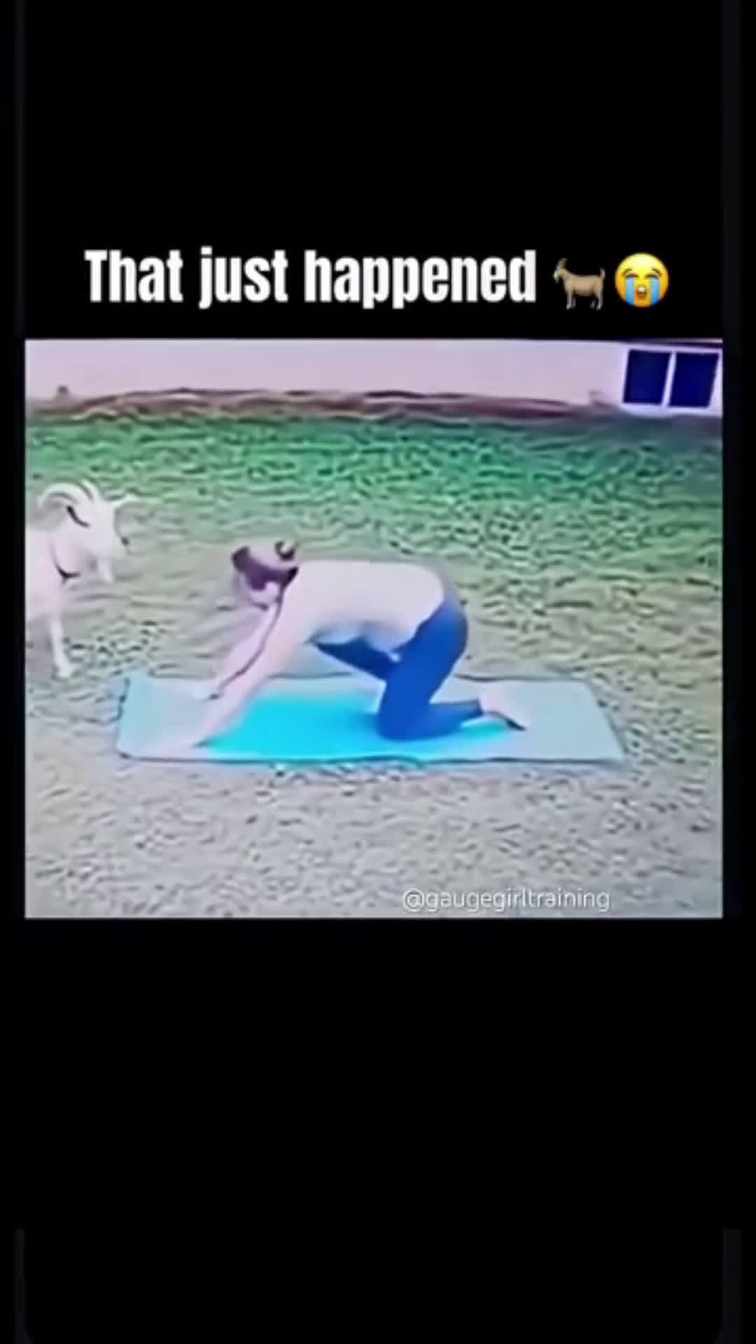 cover for Goat yoga