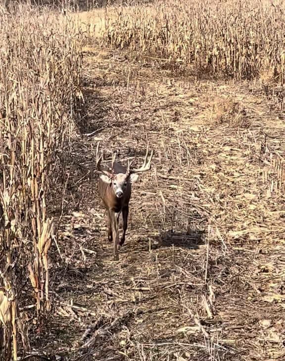 cover for Biggest buck of the season! 🦌 #bowhunting #deer #whitetail