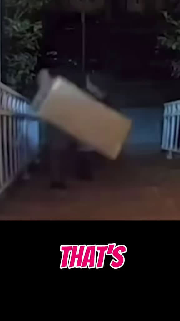 cover for Caught on cam: the package thief meets karma in a hilarious porch-pirate moment 😂📦 #funny #viral #porchpirate #package