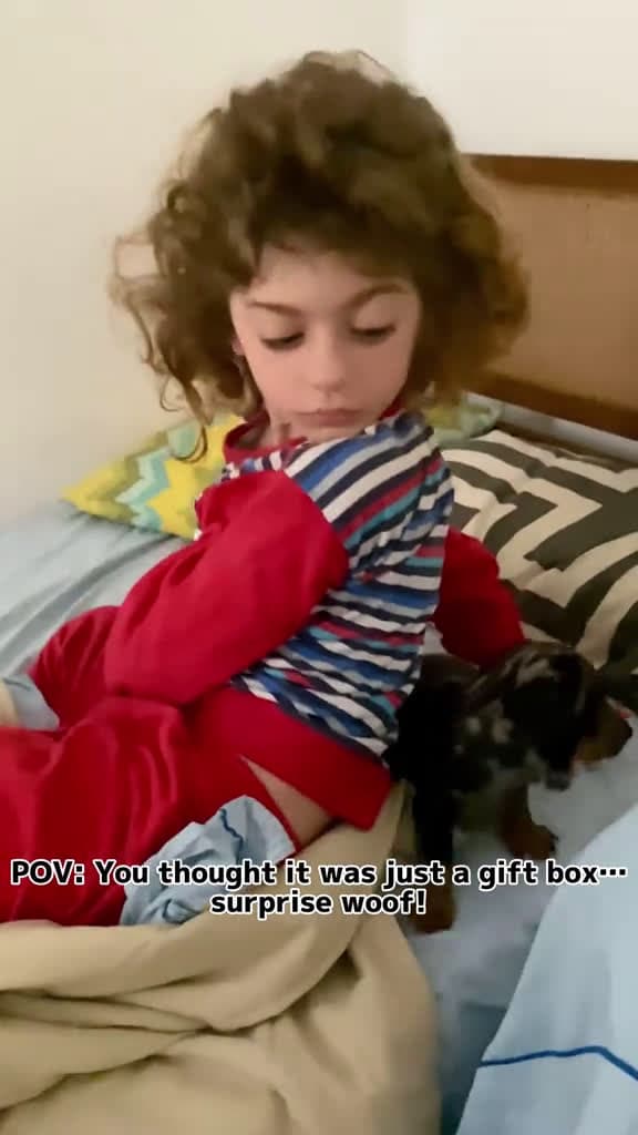 cover for Best. Gift. EVER. dog fouryoupage funny fyp pets usaus foryou 68542 #followMe