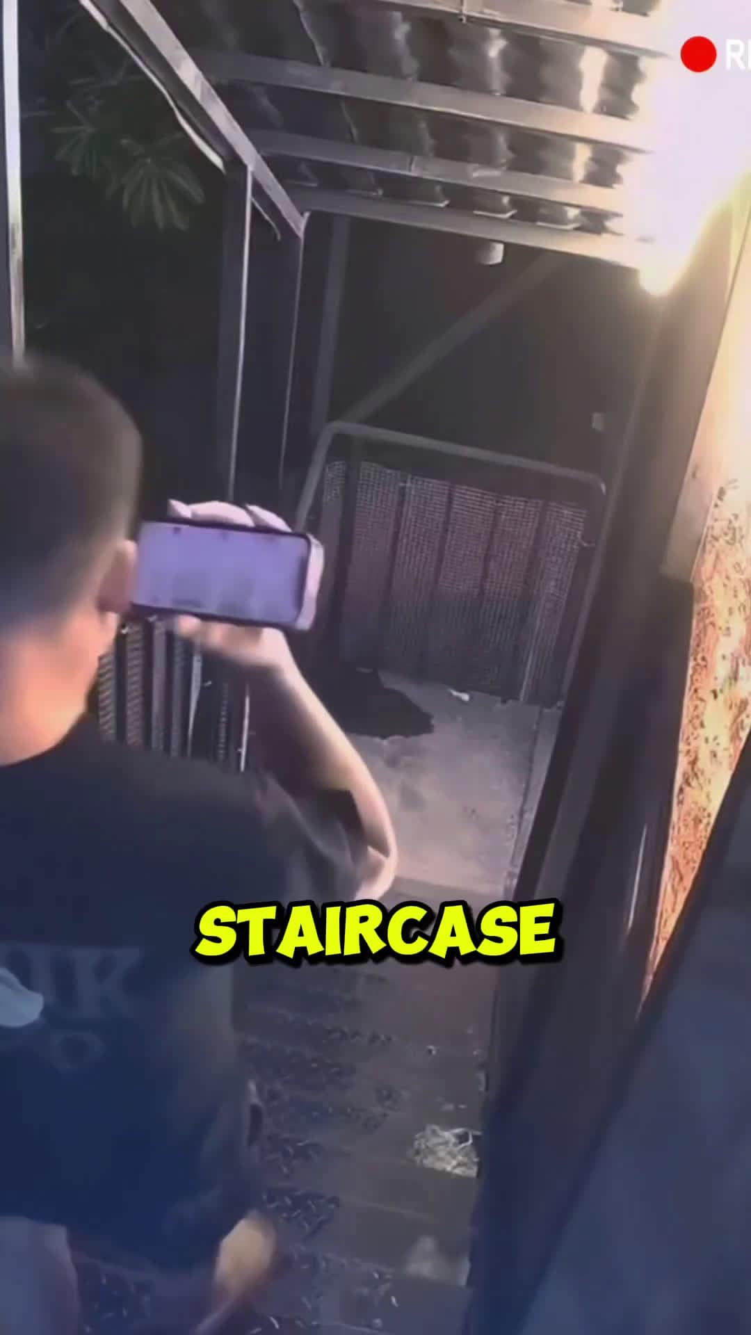 cover for He accidentally fell of stairs but then
