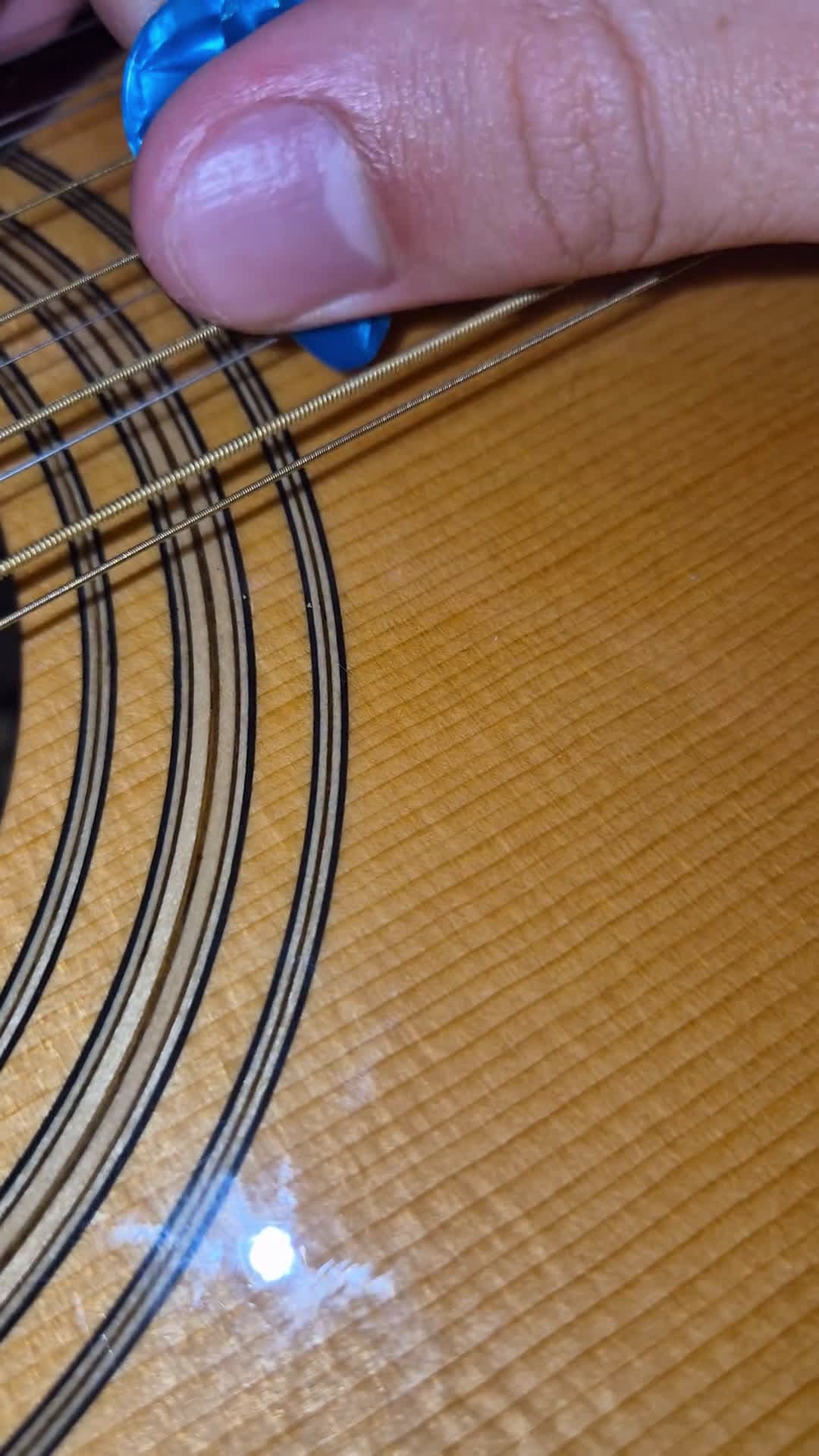 cover for Low E string buzzing on your guitar? Here are fast fixes that actually work 🎸 #GuitarTips #LowEString #GuitarSetup #GuitarHacks