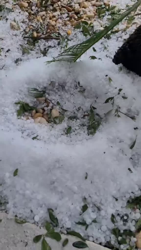 cover for When Florida gets a surprise hailstorm! 😮 #floridaweather #hailstorm