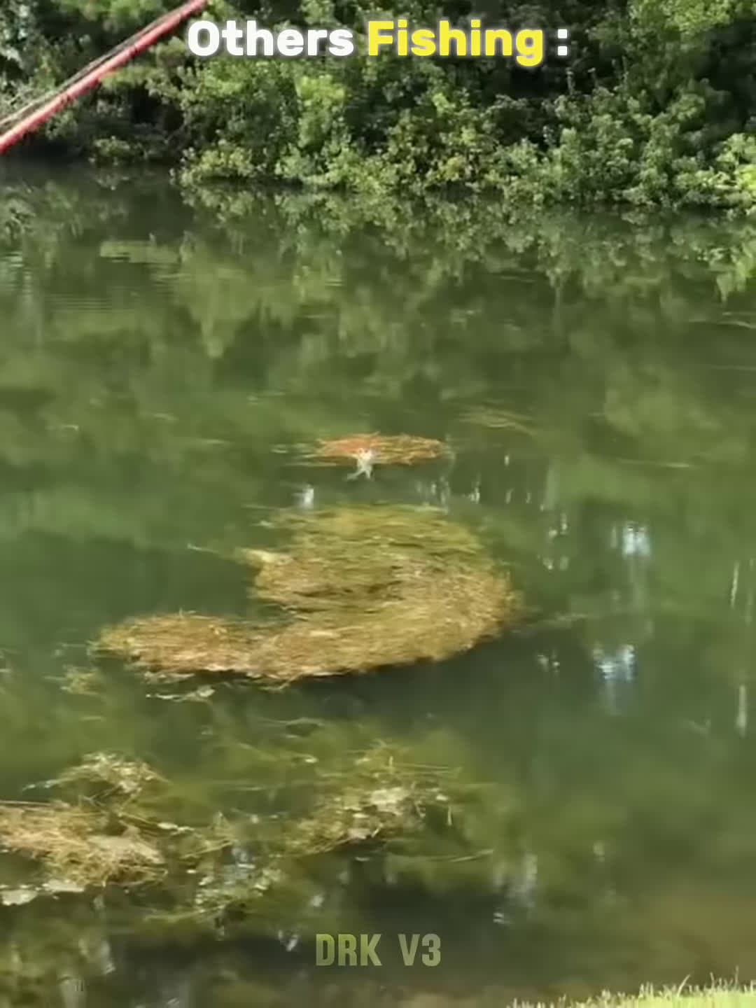 cover for Others Fishing Vs This Dude shorts