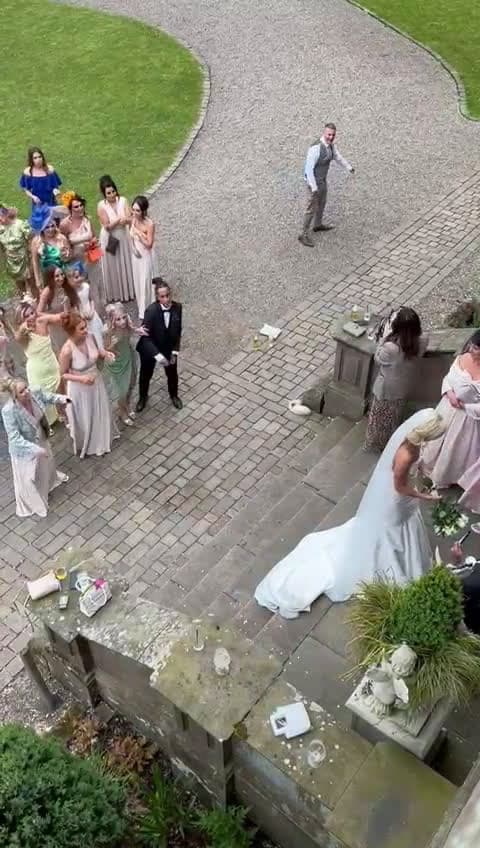 cover for Watch this hilarious bouquet toss fail! 😂 #WeddingFail #BouquetToss #FunnyMoments