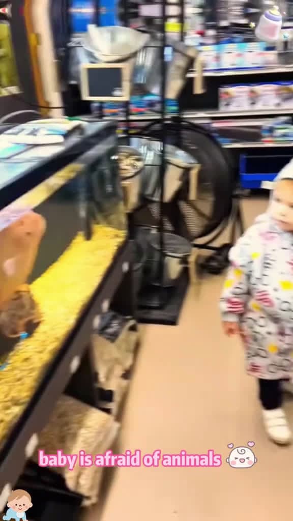 cover for Baby is afraid of animals Tiktok Foryou fpy happy Funny funnyvideos babytiktok baby babylo 23626 #trend