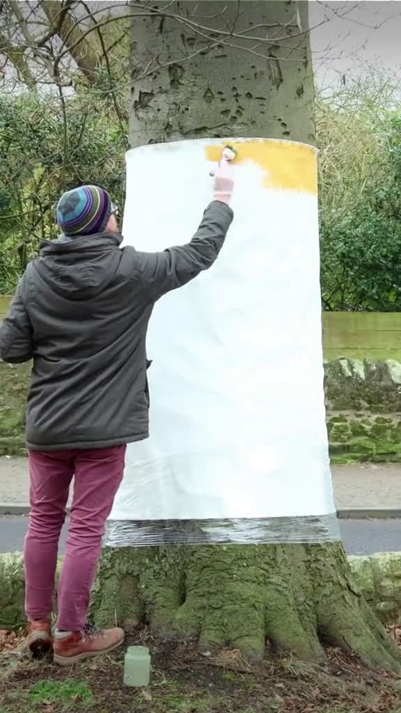cover for Pegasus Painting Challenge art illusion painting drawing foryou foryoupage 31142 #nicevideo