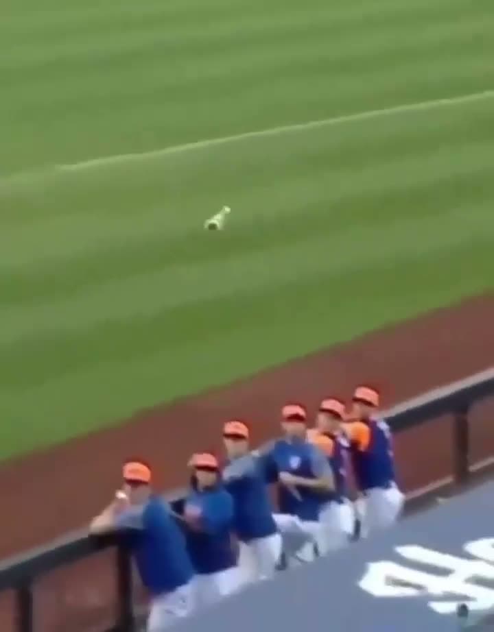 cover for father protects son from bat #viral 
